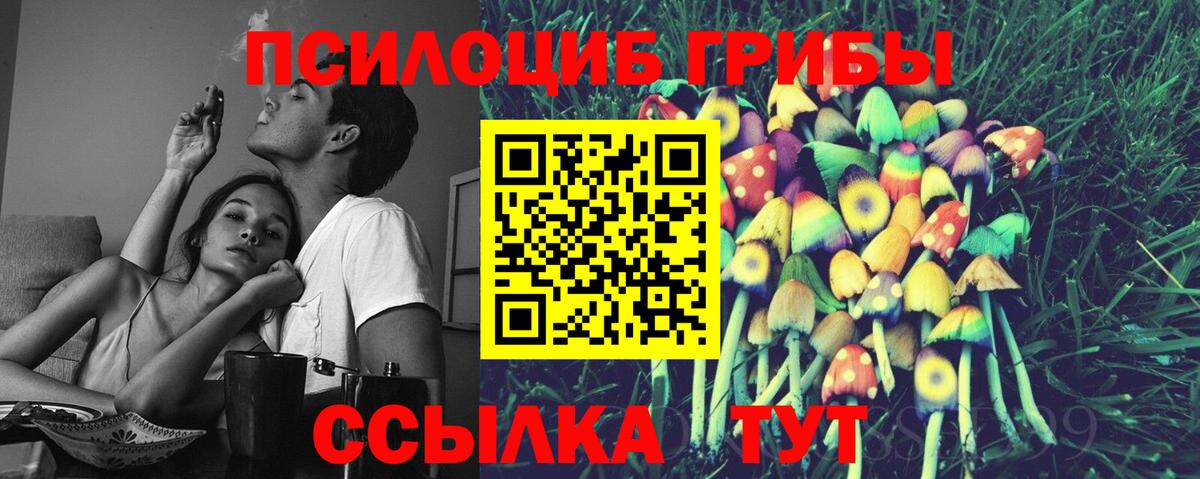 Галлюциногенные грибы Psilocybe Аргун